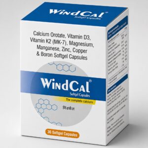 WINDCAL CAP